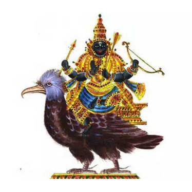 Shani Puja in Sultanpur